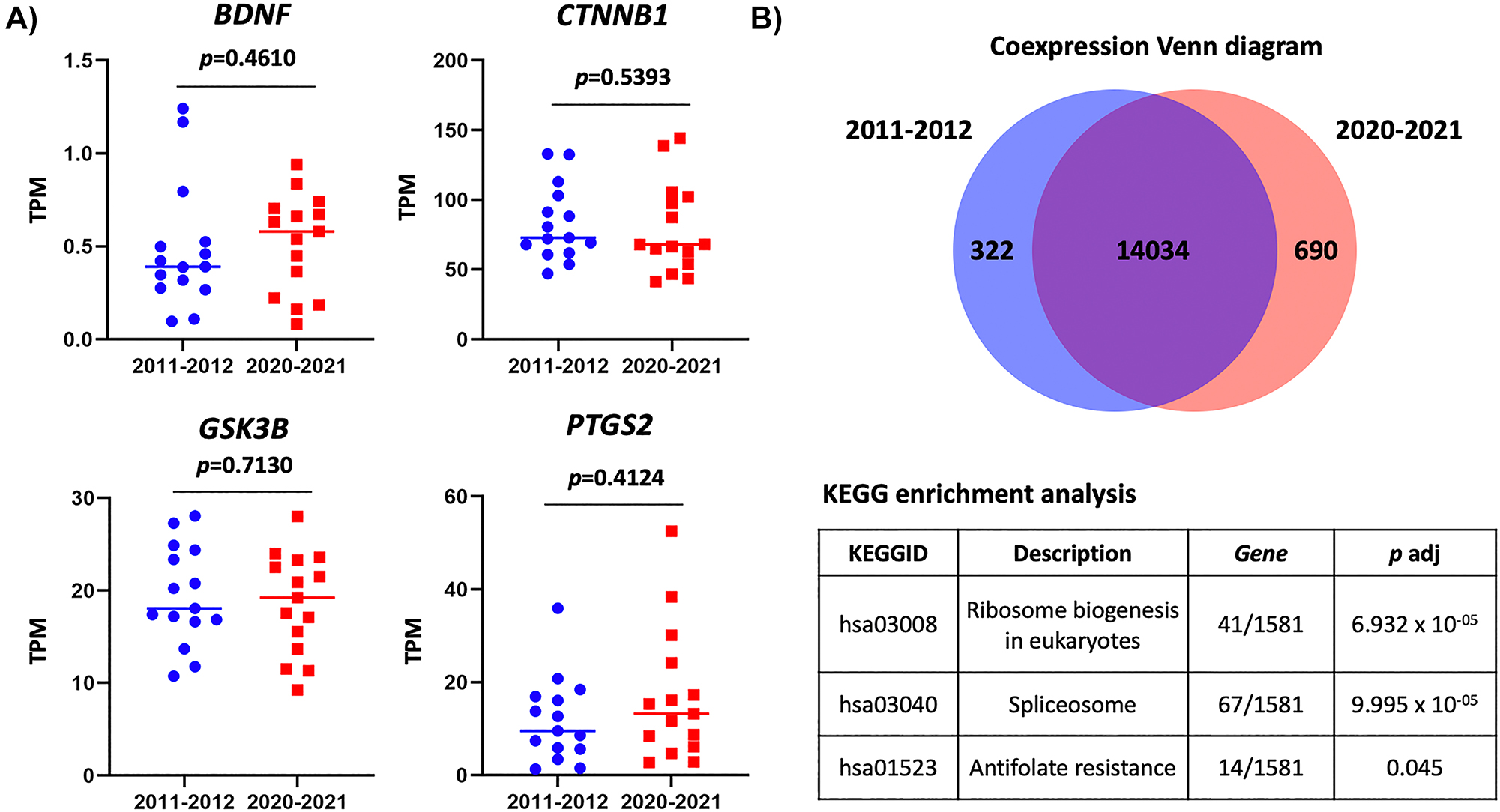 Figure 2: 
Analysis of RNA-Seq data from long-term stored FF CRC specimens. (A) Transcript per million value of four CRC-signature genes. p-Value (p) was calculated using the Mann-Whitney U test. (B) Venn diagram of coexpression analysis (top) and table of KEGG: Kyoto Encyclopedia of Genes and Genomes enrichment analysis (bottom).
