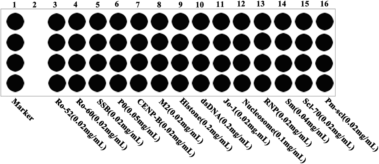 Figure 1: 
The distribution and concentration of coated antigens on the chip.
