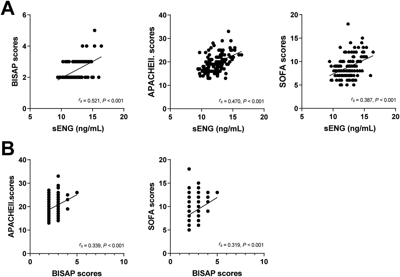 Figure 1: 
Correlation analysis between sENG levels and BISAP scores, APACHEII scores, and SOFA scores. Correlation analysis between BISAP scores and APACHEII scores and SOFA scores.

