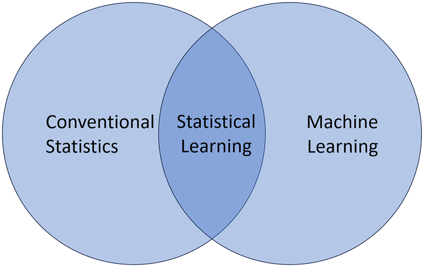 Figure 1: 
Statistical learning at the crossroads of statistics and machine learning.
