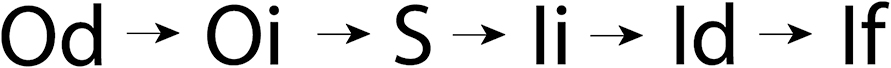 Figure 1: 
The five-stage determination process in signification.
