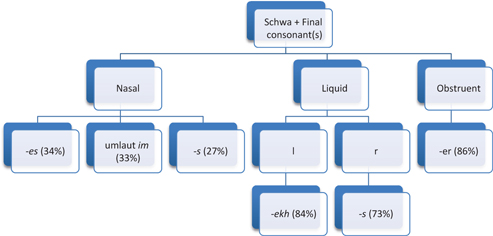 Figure 2: Decision tree for singulars ending in a schwa plus (a) consonant(s).