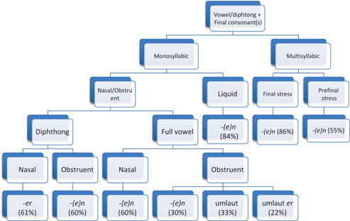 Figure 3: Decision tree for singulars ending in a vowel plus (a) consonant(s).