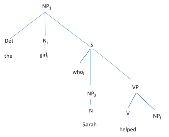 Figure 1: The FGD in an English RC (Adapted from Hawkins 1999: 250).