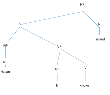 Figure 5: Tree diagram of a Turkish RC.