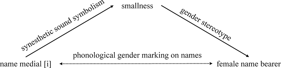 Figure 2: Phonological gender marking via sound symbolism and gender stereotypes.
