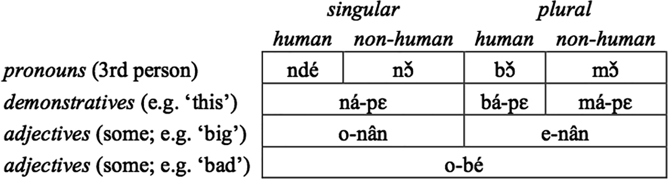 Figure 2: 
Gender agreement in Nzadi. Data from Crane et al. (2011: 75).
