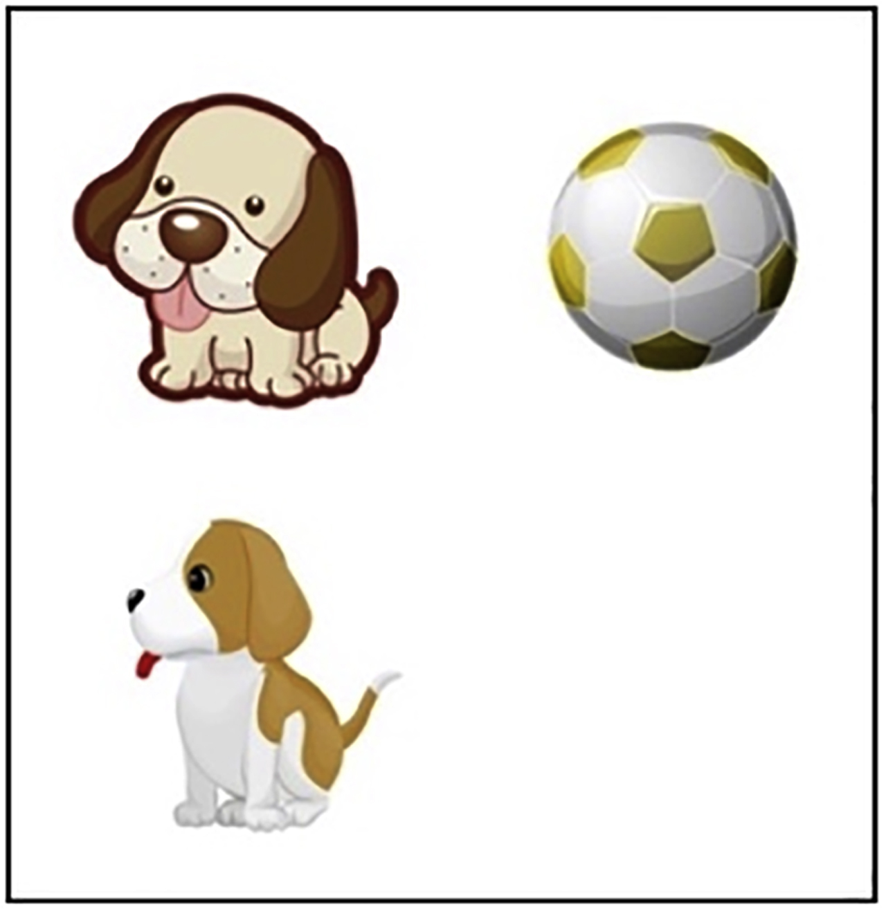 Figure 1:
An example of the pictures of the pretests.