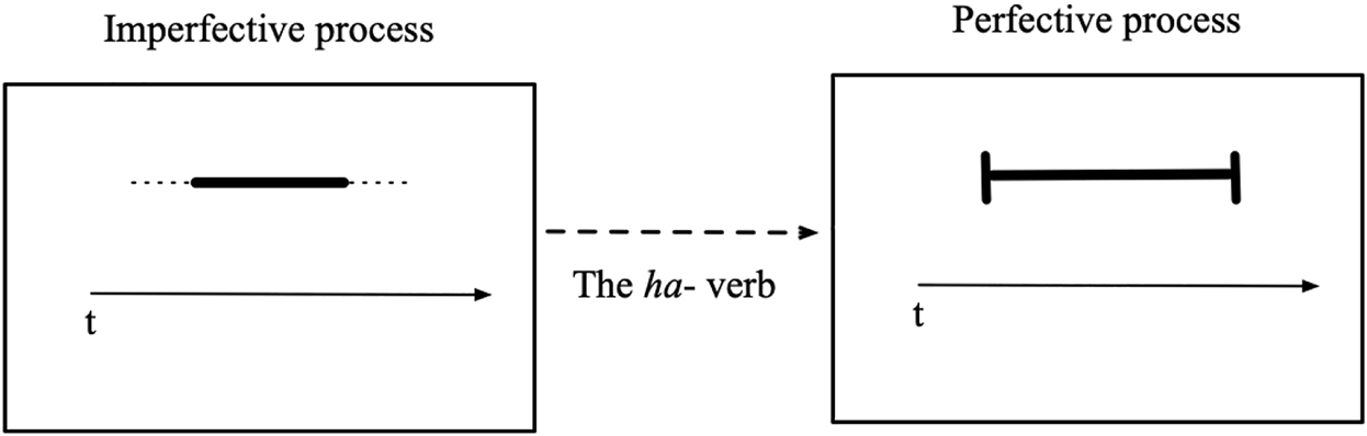 Figure 4: 
The function of the ha- verb.
