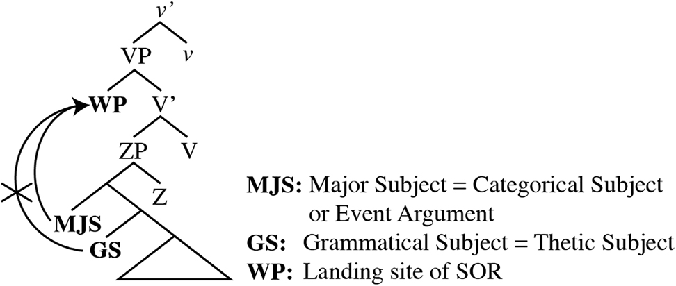 Figure 7: 
A schematic structure of major subject in SOR, adapted from Yoon (2007: 633).
