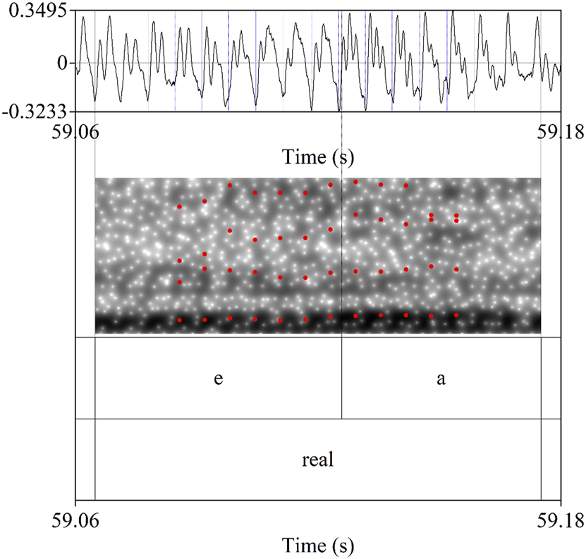 Figure 1:
Boundary between V1 and V2 in the vowel sequence /ea/ in the word real ‘royal’.