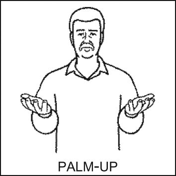 Figure 3: The gesture-like palm-up sign.