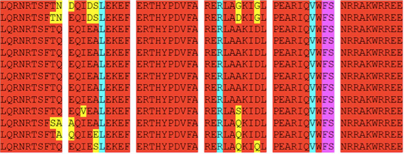 Figure 5: An alignment of homologous proteins from different arthropod species. Each letter represents one of 22 amino acids that make up proteins (in this case, part of the Pax6 regulatory protein which, amongst other functions, plays a key role in switching on eye development in embryos). These protein sequences are from species that last shared a common ancestor hundreds of millions of years ago, yet the sequences are still recognizably similar (the species are not unambiguously identified in the source (Kleinjan et al. 2008) but appear to include a fruitfly, lancelet, cavefish, chicken, human, quail, toad, zebrafish, squid, sea urchin and flatworm). Reproduced under Creative Commons licence from PLoS Genetics 2008 4:e29.