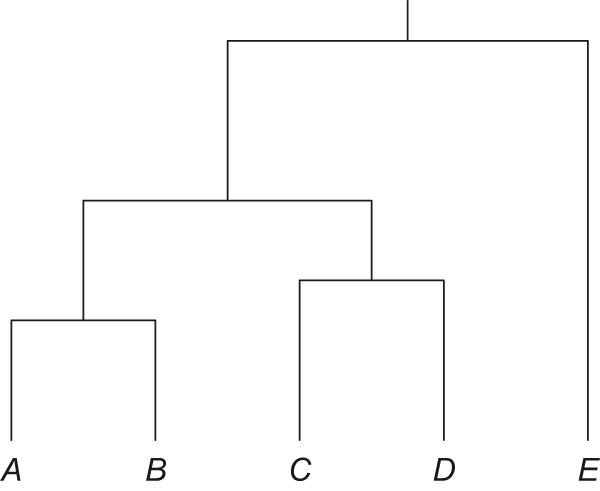 Figure 4: 
A phylogeny in which E is an outlier.