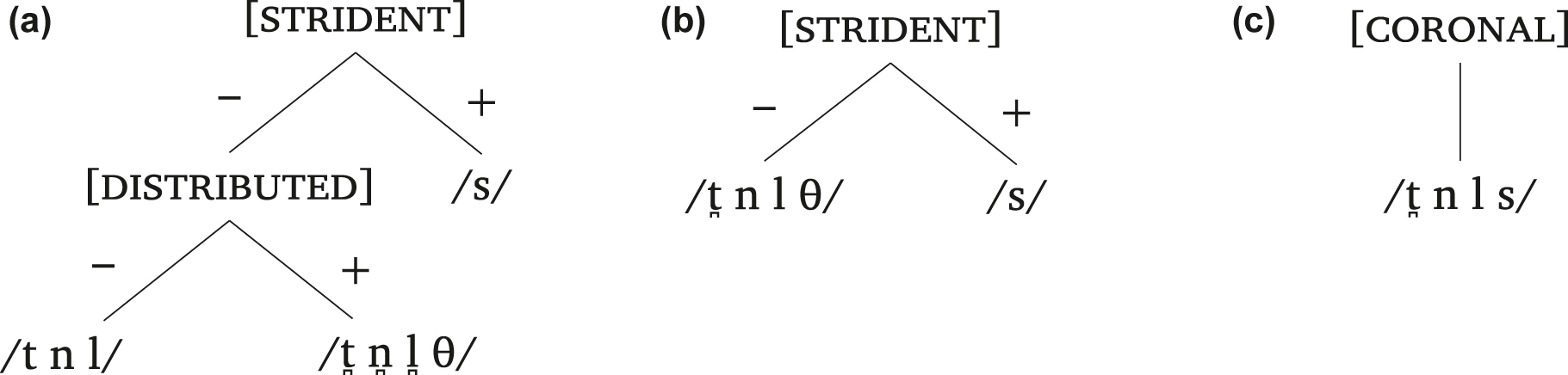 Figure 6: 
Proposed stages of feature-specification loss in voiceless fricative dialects of Mapudungun.
