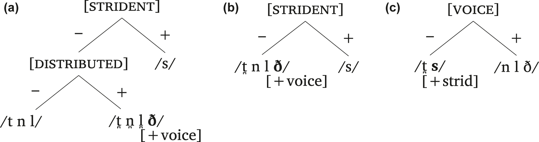 Figure 7: 
Proposed stages of feature-specification re-ranking in voiced fricative dialects of Mapudungun.
