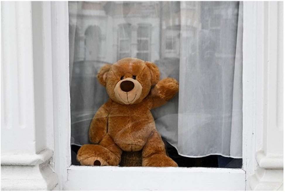Figure 1: 
A bear in a window, referred to as Covey Bear in the study (Photo property of Barbara Kelly).