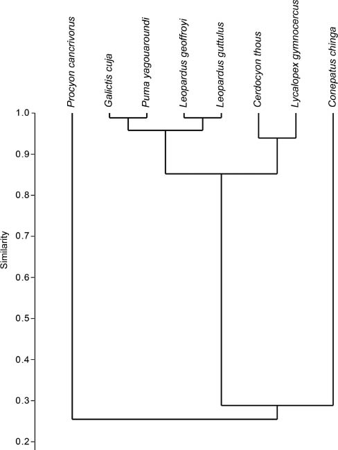 Figure 1: Analysis of similarity (Morisita index) in the diets of eight carnivore species of southern Brazil, calculated by the biomass percentage of 11 main food groups.