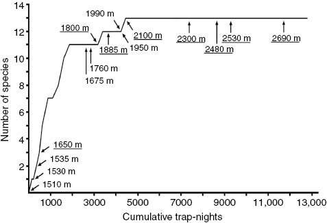 Figure 3: Combined species accumulation curve for native small mammals at all survey localities on the Mt. Amuyao gradient. Localities added sequentially from lowest to highest elevation, with initial sampling at each locality indicated by an arrow. Principal localities in mature forest are underlined.