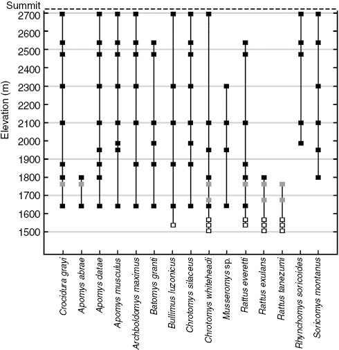 Figure 4: Distributions of small mammals along the Mt. Amuyao survey gradient. Black squares denote localities in mature forest, gray squares localities in secondary pine forest, and open squares localities in deforested second-growth habitat.