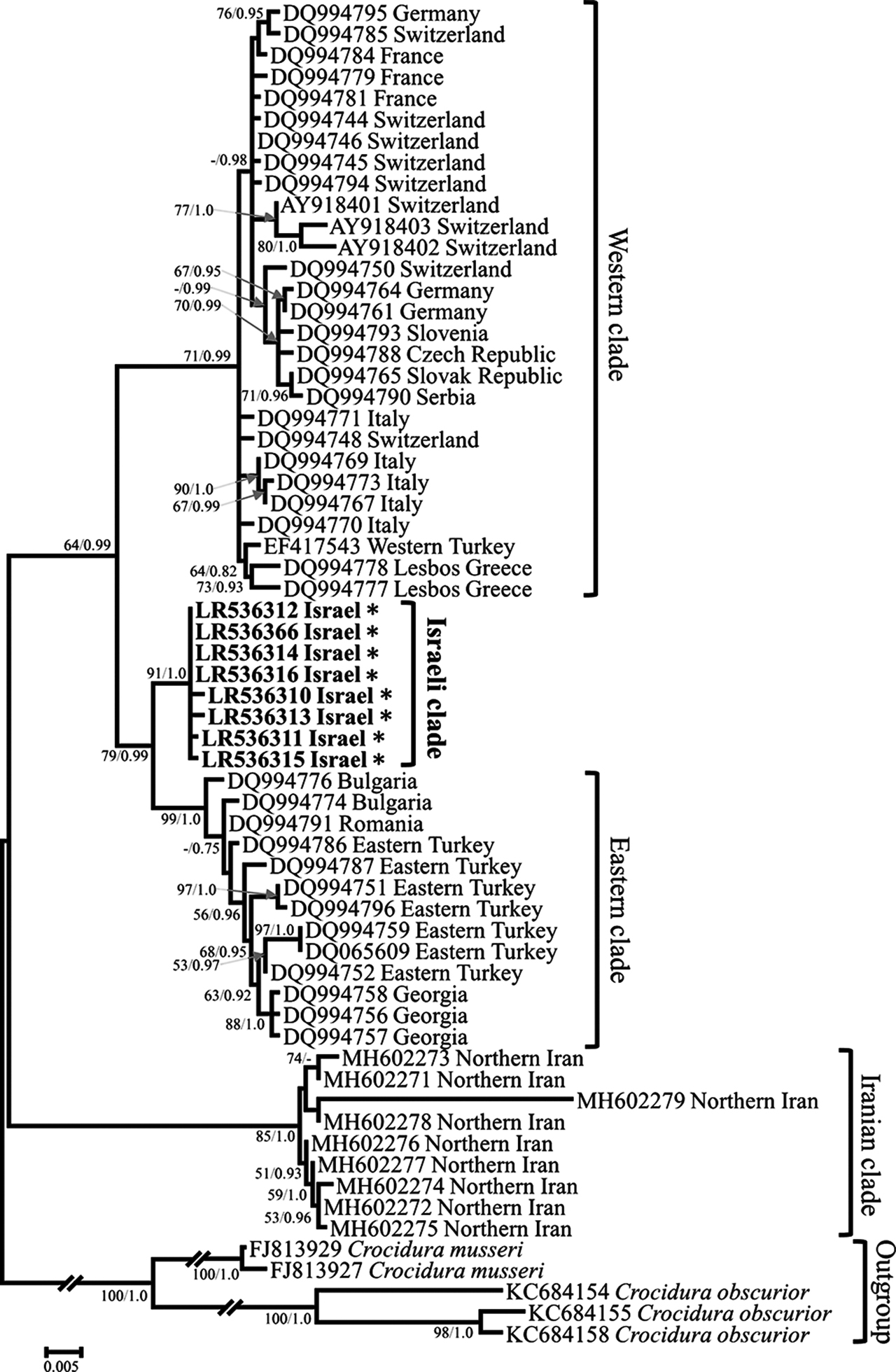 Figure 3: Maximum likelihood tree of Crocidura leucodon cytb sequences. Phylogenetic relationships inferred from a matrix of 1,077 nucleotide positions for 63 individuals. Maximum likelihood bootstrap supports above 50% and Bayesian posterior probabilities above 0.70 are indicated near the corresponding node separated with a slash. Sequences obtained in this work are indicated in bold. Authors of sequence data in Supplementary Table S4.