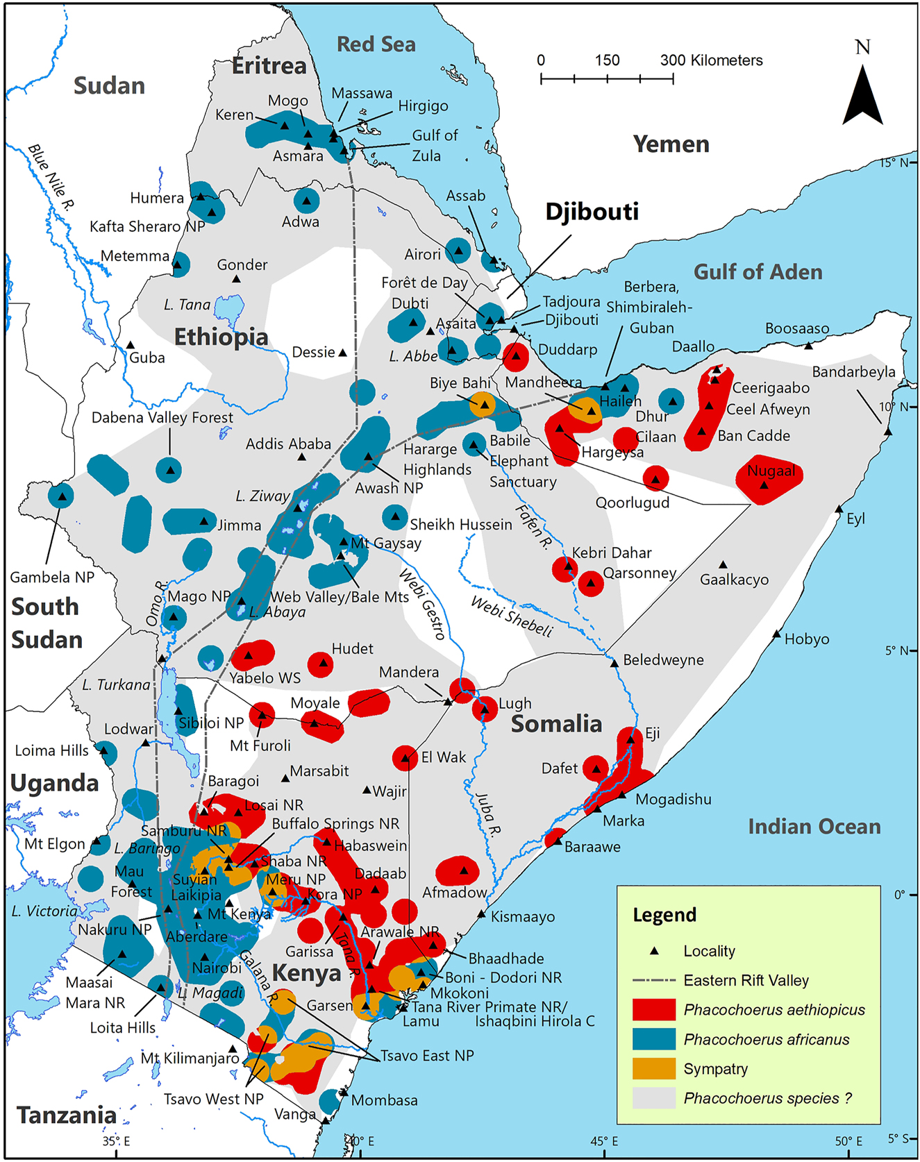 Figure 3:
Estimated historic geographic distribution of desert warthog Phacochoerus aethiopicus, common warthog Phacochoerus africanus, and Phacochoerus sp.? In the Horn of Africa. Coordinates of the records used to compile this map are presented in WarthogBase at: www.wildsolutions.nl/warthogbase. ‘Phacochoerus species?’ is based on maps presented in Stewart and Stewart (1963) and Kingdon (1979) for Kenya, Funaioli and Simonetta (1966) for Somalia, and Yalden et al. (1984) for Eritrea, Ethiopia, and extreme northwest Somalia.