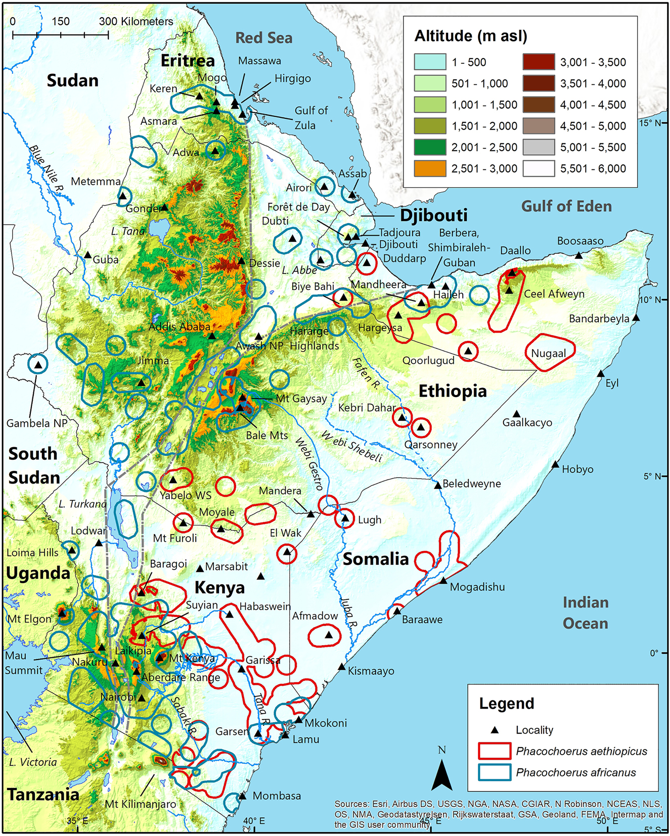 Figure 5:
Geographic distribution of desert warthog Phacochoerus aethiopicus and common warthog Phacochoerus africanus in the Horn of Africa relative to altitude.