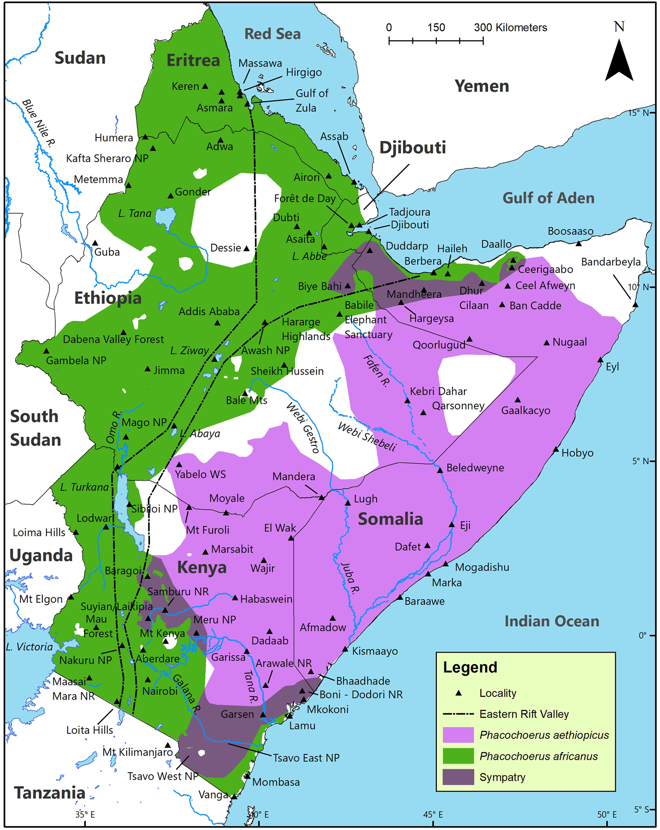 Figure 9:
Estimated current geographic distribution of desert warthog Phacochoerus aethiopicus and common warthog Phacochoerus africanus, and the areas of sympatry, in the Horn of Africa.