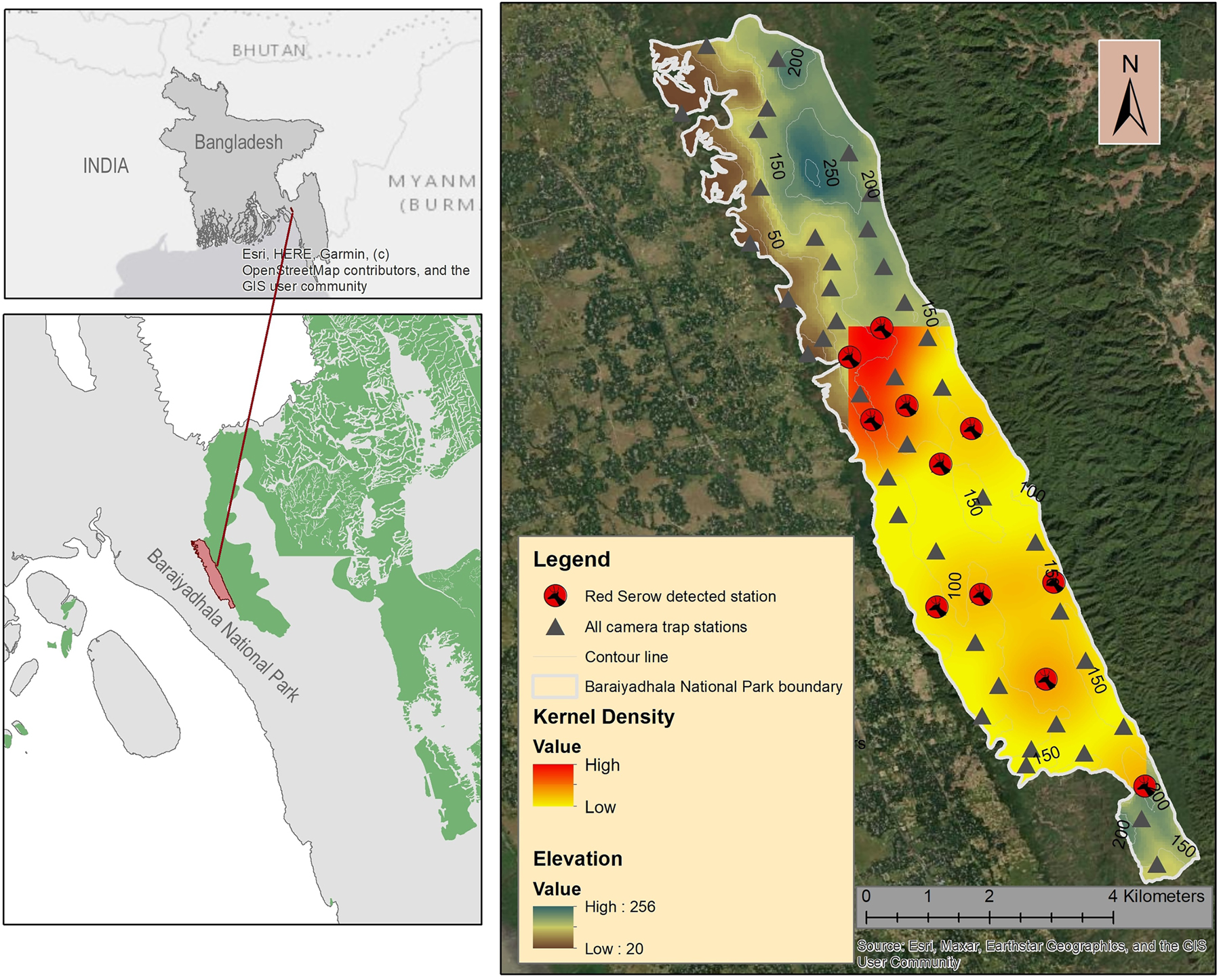 Figure 1:
Study area and camera trap sites, indicating camera trap sites with Burmese Red Serow detection and sites where serows were not detected.