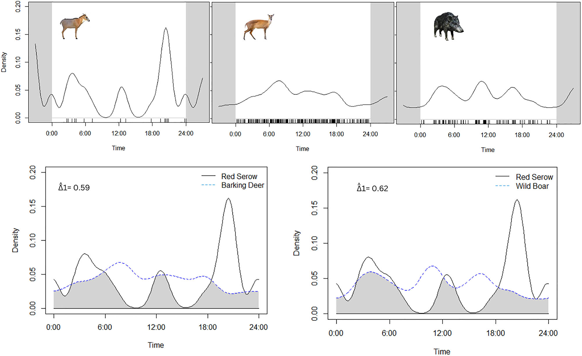 Figure 3:
Temporal activity pattern and overlap estimates for focal species Burmese Red Serow and sympatric Barking Deer and Wild Boar.