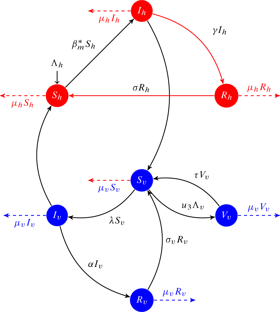 Fig. 1 Flow diagram for the disease transmission. The blue balls represent the vector population, while the red balls indicate the human population