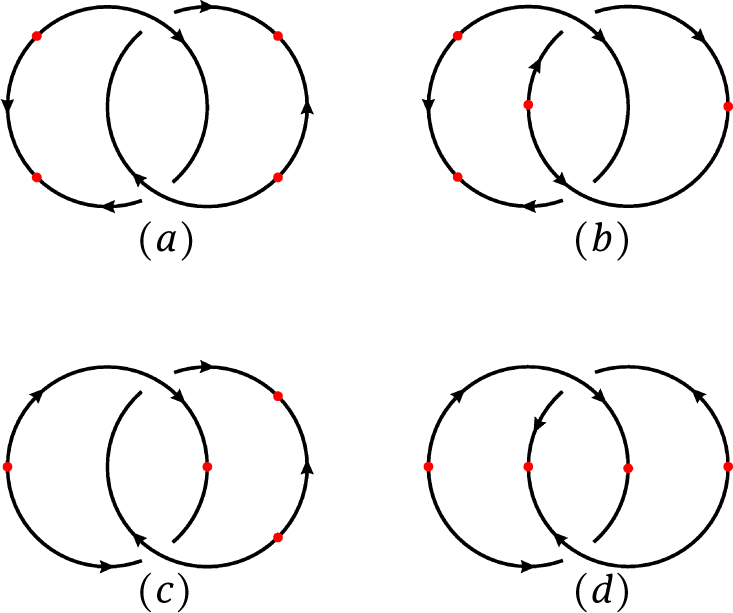 Fig. 10 Some Disoriented Diagrams of Hopf Link