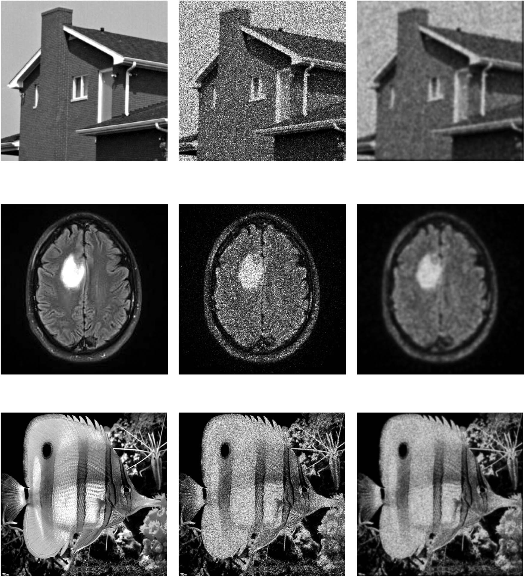 Figure 4
Original images (left), noisy images (middle), and smoothed images (right).