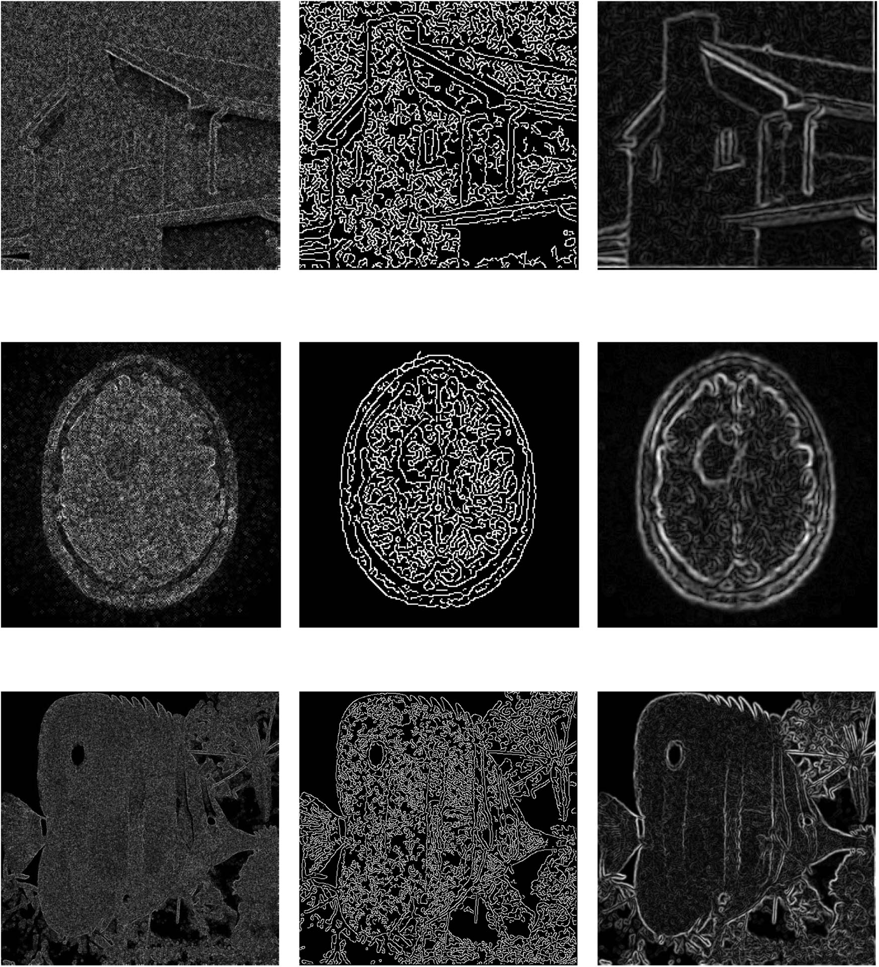 Figure 5
Detected edges: from noisy images (left), by Canny method (middle), and from smoothed images (right).