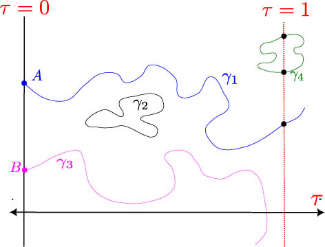 Figure 2 
               Family of homotopy curves.
            