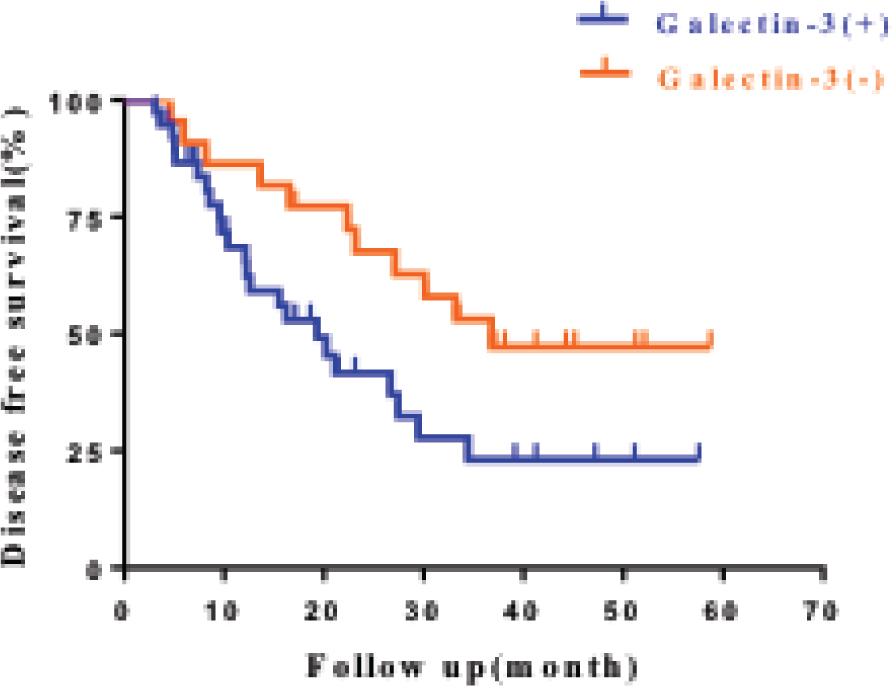 Figure 2 The disease survival curve comparison between galectin-3 positive and negative patients