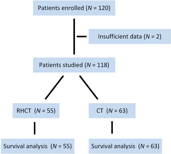 Figure 1 The scheme of this study. RHCT regional hyperthermia with chemotherapy; CT chemotherapy