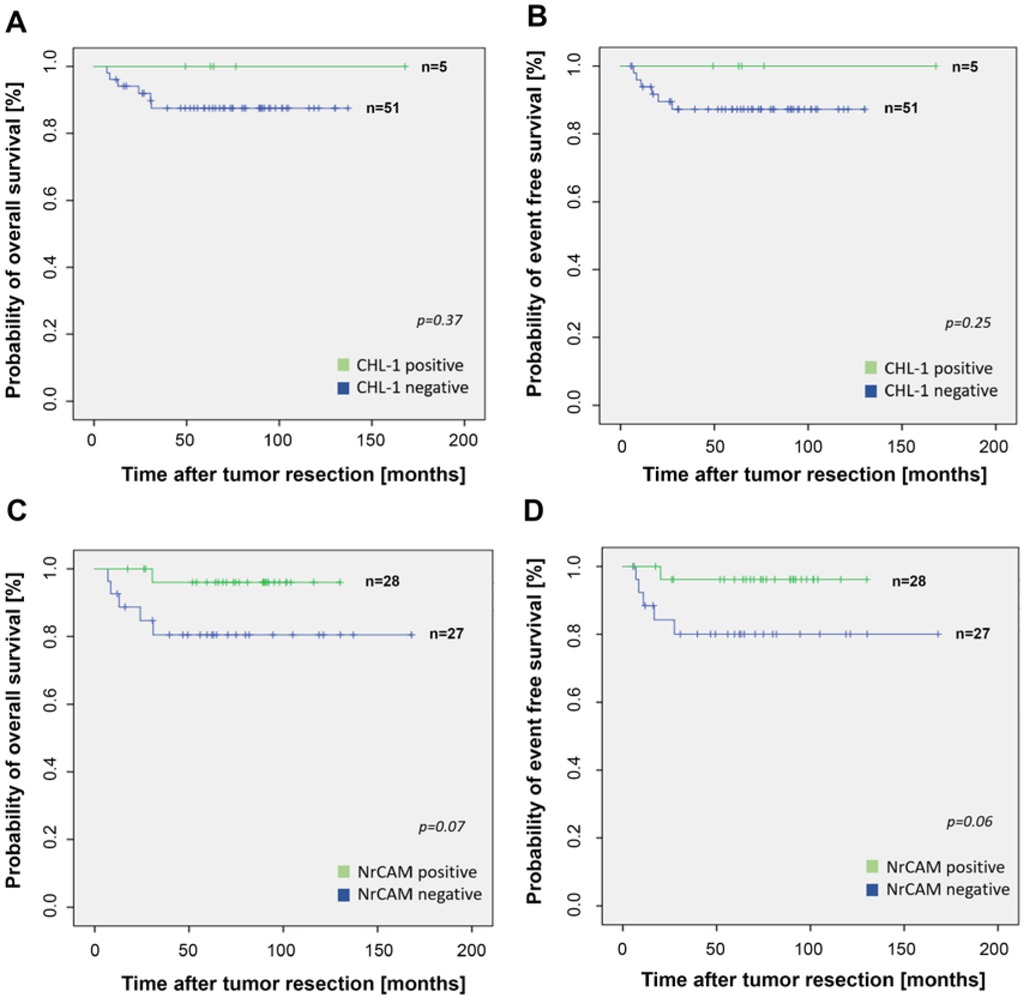 Figure 2 Kaplan-Meier survival curves for overall and event-free survival. No association was found for CHL1-expression (A/B). Survival rates were better by trend in children with NrCAM positive tumors (C/D) but without statistical significance (p=0.07 and p=0.06).