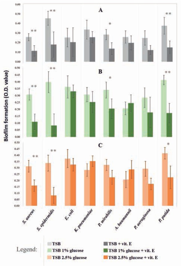 Figure 1 Influence of vitamin E and glucose on the biofilm formation by common human pathogens. Bars indicate the biofilm formed by strains in A) TSB with (dark grey) and without (light grey) vitamin E B) TSB 1% glucose with (dark green) and without (light green) vitamin E C) TSB 2.5% glucose with (dark orange) and without (light orange) vitamin E. The estimation of biofilm formed is based on the optical density of solutions obtained through the resuspension of the stain (see section Methods). Asterisks indicate significance of these comparisons, with «*» for p<0.05 and «**» for p<0.01 (ANOVA and Kruskal-Wallis test, with p<0.05).