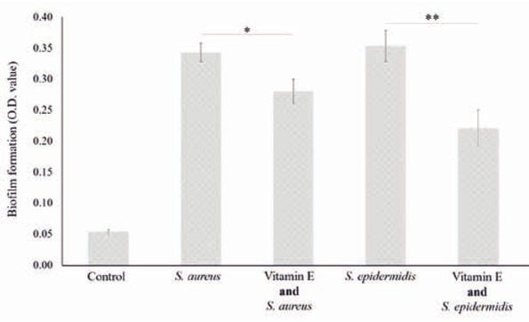 Figure 2 Effect of vitamin E pre-treatment of catheter surfaces on the biofilm formation ability of Staphylococcus strains. «Control» stands for medium not added with vitamin E and not inoculated by considered strains. Statistical significance of interesting comparisons is indicated by asterisks, with «*» for p< 0.05 and «**» for p<0.01 (ANOVA, post-hoc Tukey HSD, p<0.05).