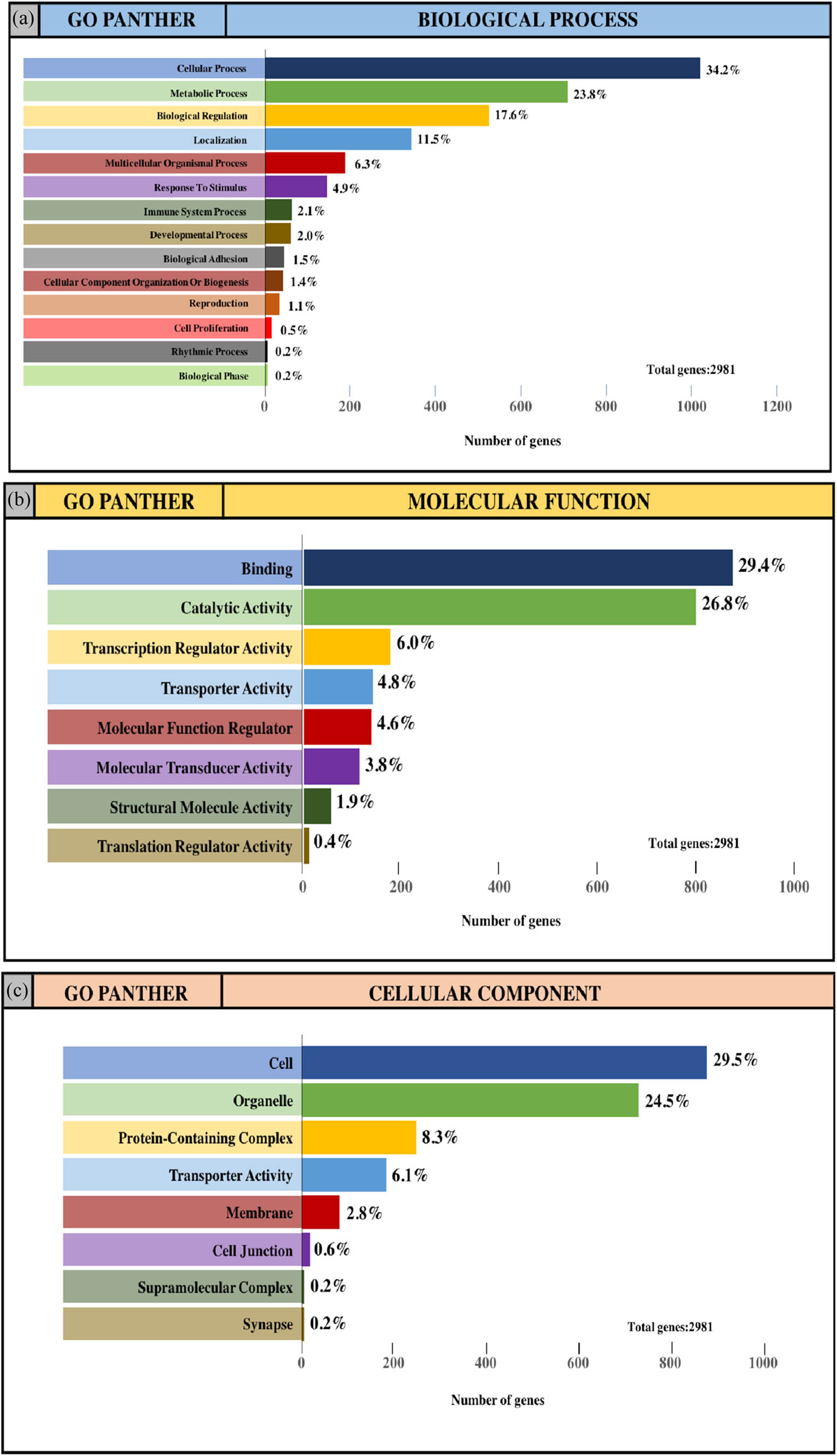 Figure 4 GO and pathway enrichment analysis of the predicted TG of DE-miRNAs through the PANTHER database. (a and e) GO PANTHER’s analysis on the category of “biological process” of the predicted TG of upregulated miRNAs and downregulated miRNAs, respectively. (b and f) GO PANTHER’s analysis on the category of “molecular function” of the predicted TG of upregulated miRNAs and downregulated miRNAs, respectively. (c and g) GO PANTHER’s analysis on the category of “cellular component” of the predicted TG of upregulated miRNAs and downregulated miRNAs, respectively. (d and h) GO PANTHER’s analysis on the category of “KEGG” of the predicted TG of upregulated miRNAs and downregulated miRNAs, respectively.
