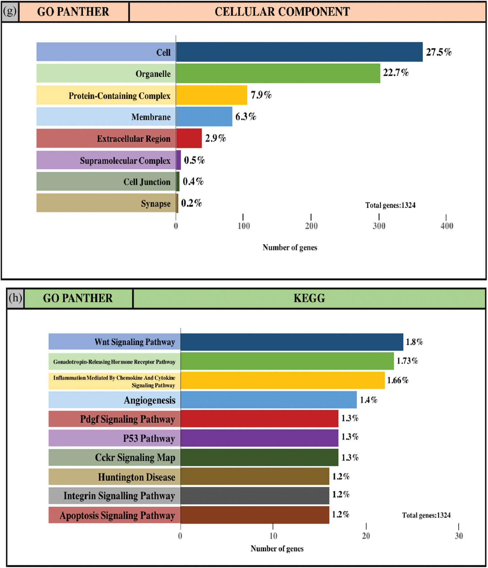 Figure 4 GO and pathway enrichment analysis of the predicted TG of DE-miRNAs through the PANTHER database. (a and e) GO PANTHER’s analysis on the category of “biological process” of the predicted TG of upregulated miRNAs and downregulated miRNAs, respectively. (b and f) GO PANTHER’s analysis on the category of “molecular function” of the predicted TG of upregulated miRNAs and downregulated miRNAs, respectively. (c and g) GO PANTHER’s analysis on the category of “cellular component” of the predicted TG of upregulated miRNAs and downregulated miRNAs, respectively. (d and h) GO PANTHER’s analysis on the category of “KEGG” of the predicted TG of upregulated miRNAs and downregulated miRNAs, respectively.