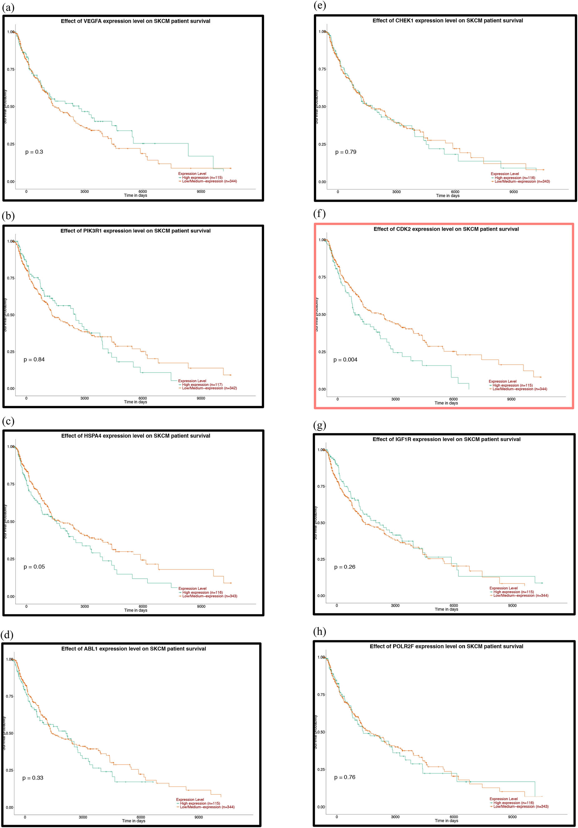 Figure 6 Prognostic analysis of the mutant genes and the hub genes of the downregulated miRNAs with the UALCAN database: (a) TP53, (b) FAT4, (c) PTPRT, (d) GRIN2A, (e) EP300, (f) MAPK8, (g) PTEN, (h) HSPA8, (i) HSP90AA1, (j) APP, (k) POLR2A, (l) RPL23, (m) SP1, (n) ITPKB, (o) RBBP4, (p) YY1, (q) SMAD2, (r) MMP2 and (s) CXCR4. P < 0.05 was considered statistically significant.