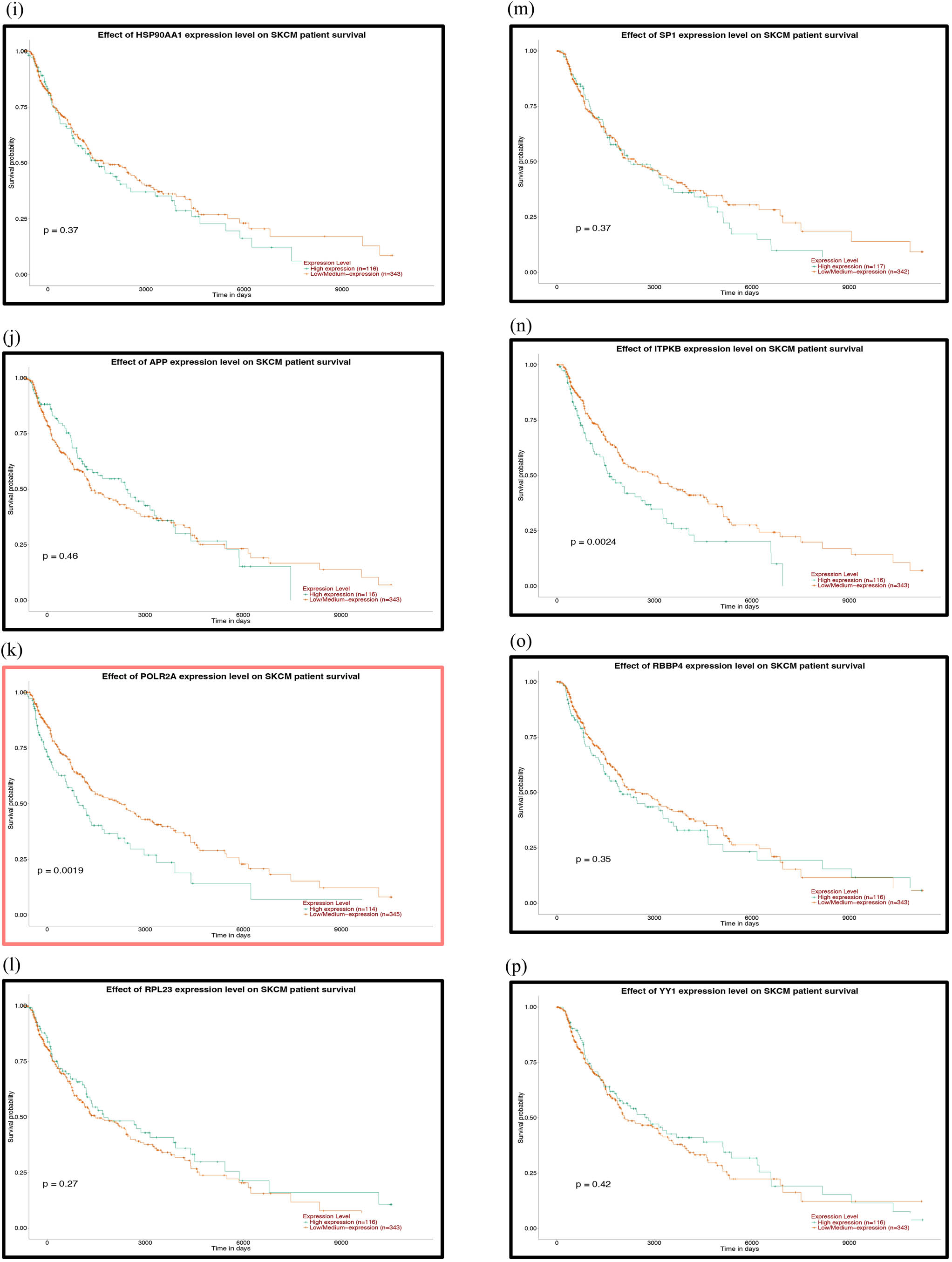 Figure 7 Prognostic analysis of the hub genes of the upregulated miRNAs with the UALCAN database: (a) VEGFA, (b) PIK3R1, (c) HSPA4, (d) ABL1, (e) CHEK1, (f) CDK2, (g) IGF1R, (h) POLR2F, (i) CBL, (j) BTRC and (k) YWHAE. P < 0.05 was considered statistically significant.