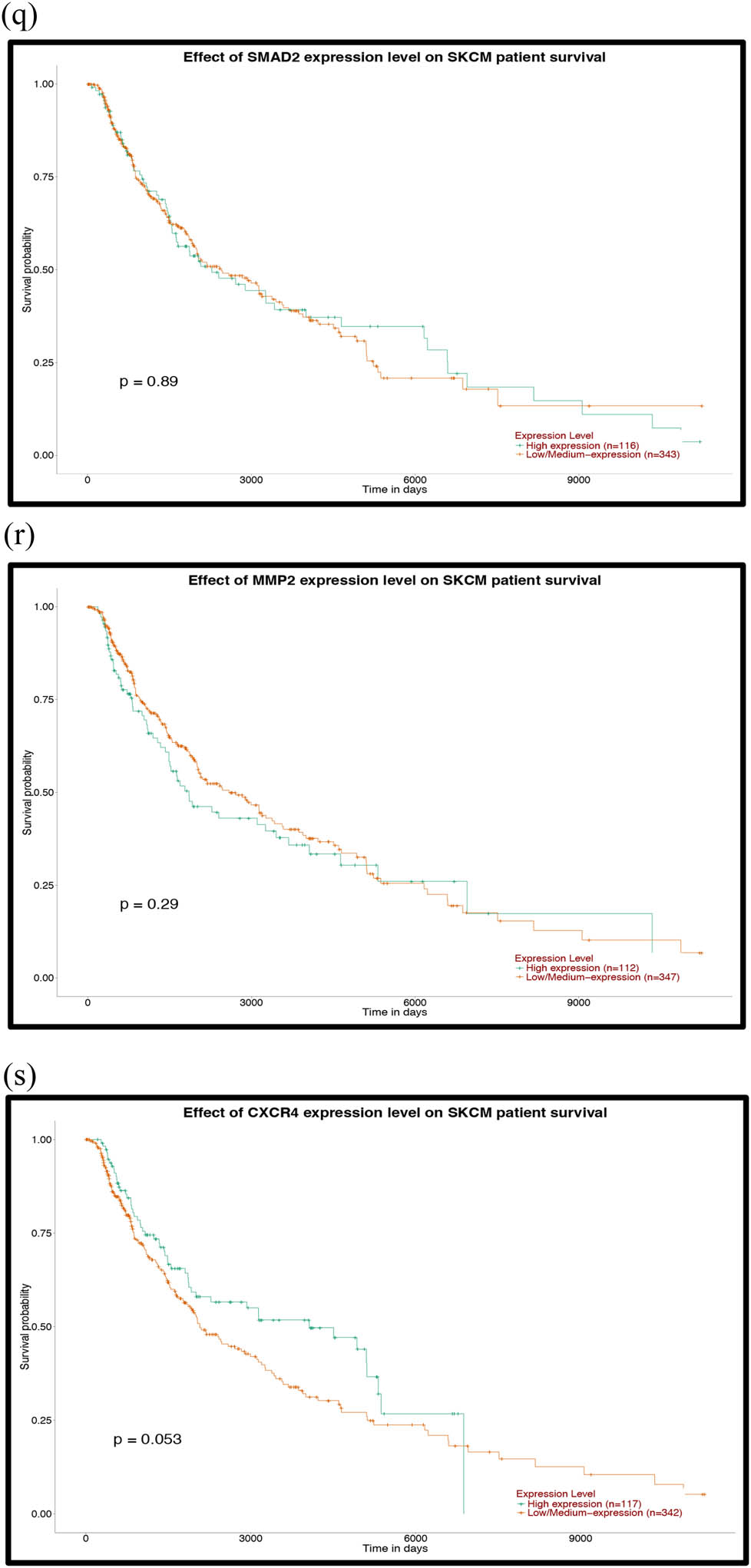 Figure 7 Prognostic analysis of the hub genes of the upregulated miRNAs with the UALCAN database: (a) VEGFA, (b) PIK3R1, (c) HSPA4, (d) ABL1, (e) CHEK1, (f) CDK2, (g) IGF1R, (h) POLR2F, (i) CBL, (j) BTRC and (k) YWHAE. P < 0.05 was considered statistically significant.