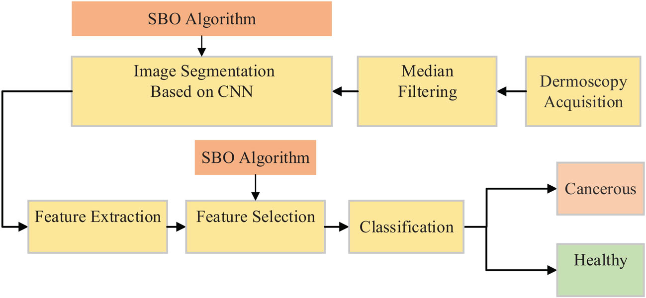 Figure 1 The flowchart of the proposed skin cancer diagnosis system.