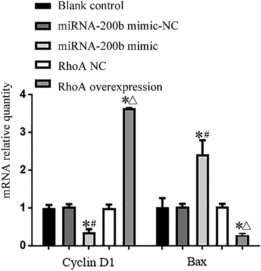 Figure 6 Comparison of cyclin D1 and Bax gene mRNA expression levels in each group. Note: compared with blank control group, *P < 0.05; compared with mimic-NC group, #P < 0.05; and compared with RhoA NC group, ΔP < 0.05.