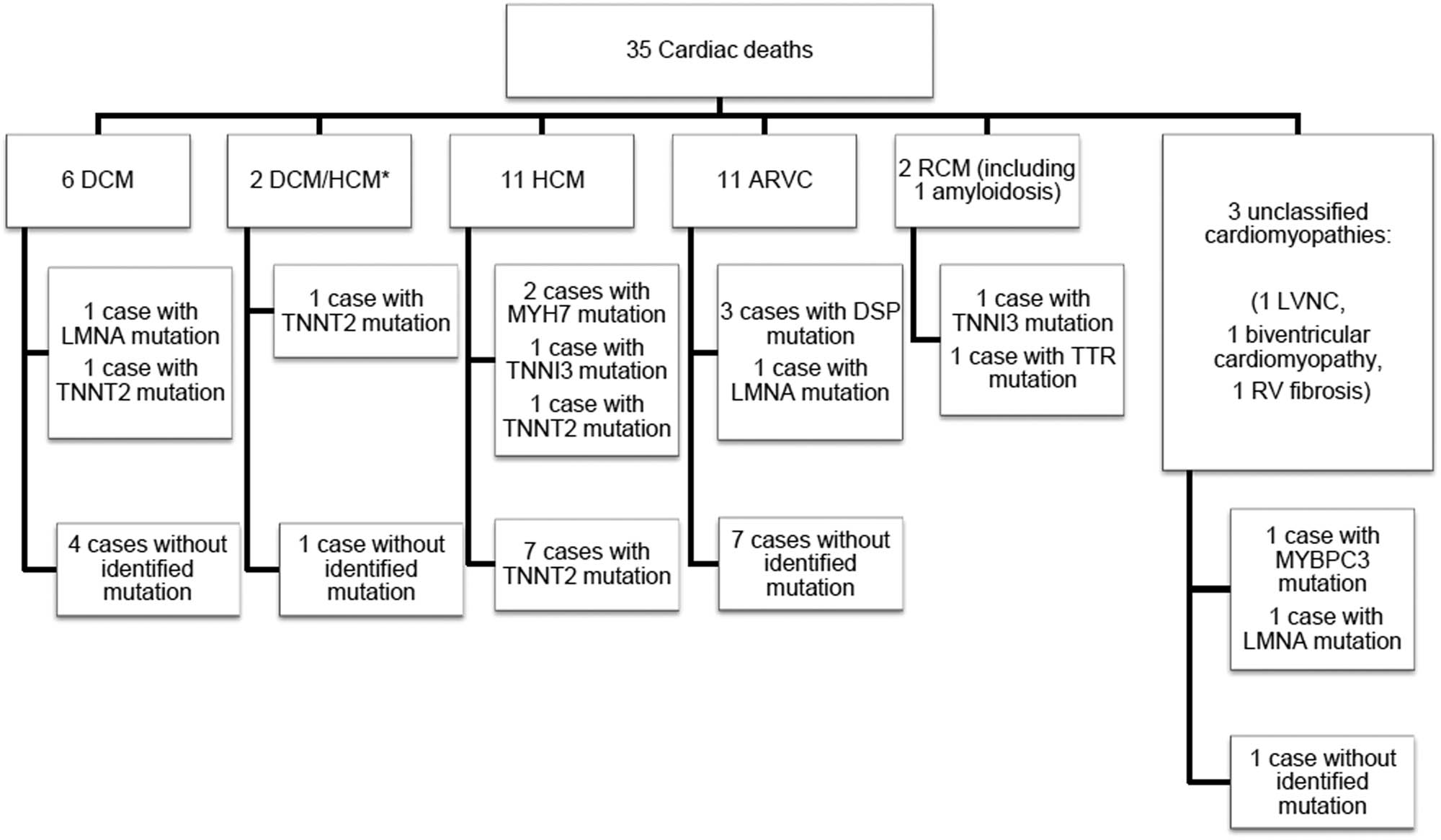 Figure 1 Overview of all patients according to the suspected cardiomyopathy. ARVC: arrhythmogenic right ventricular cardiomyopathy, HCM: hypertrophic cardiomyopathy, DCM: dilated cardiomyopathy, RCM: restrictive cardiomyopathy, LVNC: left ventricular non-compaction. *HCM/DCM: HCM observed in the deceased but DCM previously reported in a relative, subsequently interpreted as end-stage form of HCM.