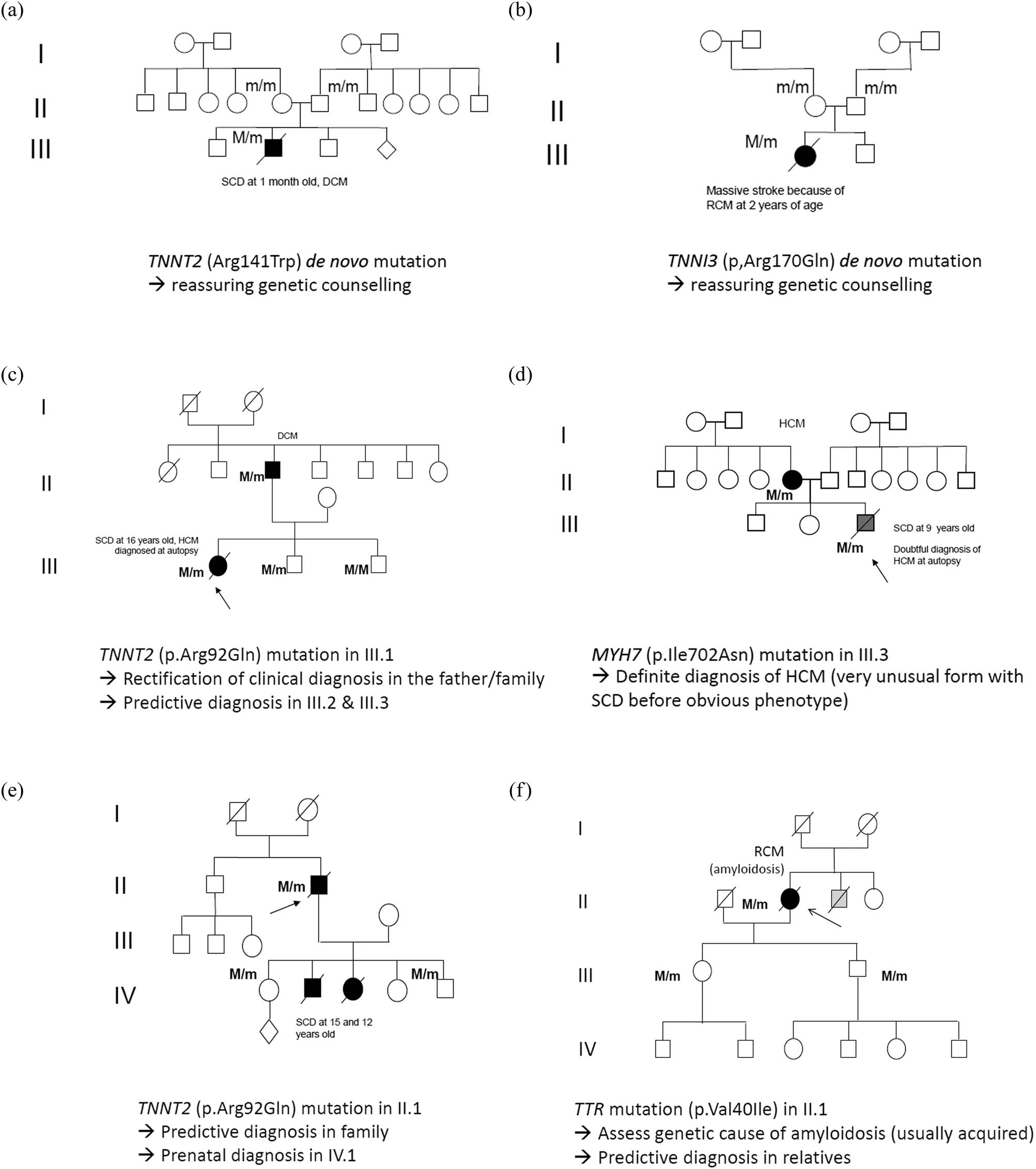 Figure 2 Selected pedigrees of patients with a causal variant and particular medical impact in the family.