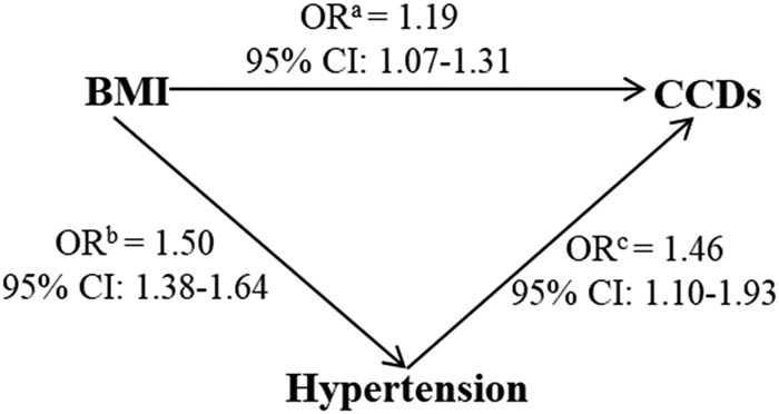 Figure 2
Associations between BMI per 1-SD increase, hypertension (≥130/80 mm Hg), and CCDsa. Abbreviations: CCDs, cardiovascular and cerebrovascular diseases; BMI, body mass index. The values are presented as the odds ratios (ORs) and 95% confidence intervals (95% CIs); aadjusted for age, sex, hypertensive status, alcohol use, smoking, and diabetic status; badjusted for age, sex, alcohol use, smoking, and diabetic status; cadjusted for BMI, age, sex, alcohol use, smoking, and diabetic status. The statistical analysis was performed with multivariate logistic regression analysis. The significance threshold was P <0.05.